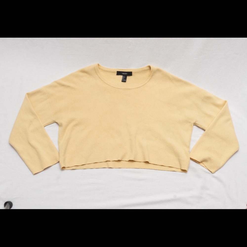 Forever 21 cropped sweater